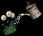 watering_flowers_lb.gif