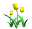tulips_yellow_tw.gif