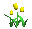 tulips_yellow_tc.gif