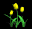 tulips_yellow_tb.gif