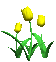 tulips_yellow_sc.gif