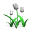 tulips_white_tw.gif