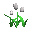 tulips_white_tc.gif