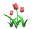 tulips_pink_tw.gif