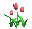 tulips_pink_tc.gif