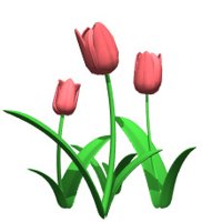 tulips_pink_hr.jpg