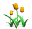 tulips_orange_tw.gif