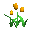 tulips_orange_tc.gif