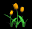 tulips_orange_tb.gif