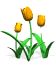 tulips_orange_sw.gif