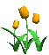 tulips_orange_sc.gif