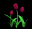 tulips_burgundy_tb.gif