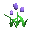 tulips_blue_tc.gif