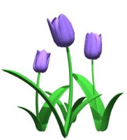 tulips_blue_hr.jpg