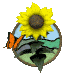 sunflower_butterfly_sc.gif