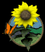 sunflower_butterfly_sb.gif