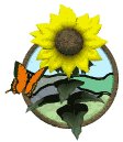 sunflower_butterfly_lw.gif