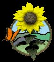 sunflower_butterfly_lc.gif