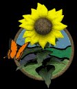 sunflower_butterfly_lb.gif