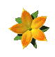 single_flower_sc.gif