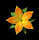 single_flower_sb.gif