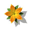 single_flower_mw.gif