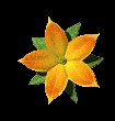 single_flower_mc.gif