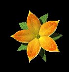 single_flower_lc.gif