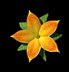 single_flower_lb.gif