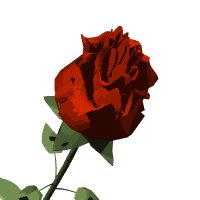 redrose_lw.gif