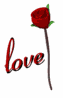 red_rose_open_meaning_a_sw.gif