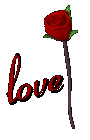 red_rose_open_meaning_a_mc.gif