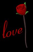 red_rose_open_meaning_a_lb.gif
