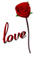 red_rose_open_meaning_a_hr.jpg