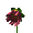 red_flower_sc.gif