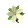 pretty_flower_yellow_tc.gif