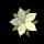 pretty_flower_yellow_tb.gif