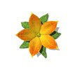 pretty_flower_special_mw.gif