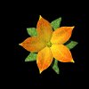 pretty_flower_special_mb.gif