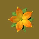 pretty_flower_special_lc.gif