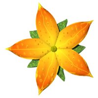 pretty_flower_special_hr.jpg