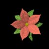 pretty_flower_red_mb.gif