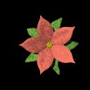 pretty_flower_red_lb.gif