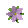 pretty_flower_purple_tc.gif