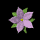 pretty_flower_purple_tb.gif