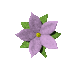 pretty_flower_purple_sc.gif