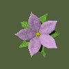 pretty_flower_purple_mc.gif