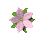 pretty_flower_pink_tc.gif