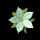 pretty_flower_green_tb.gif