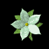pretty_flower_green_sb.gif